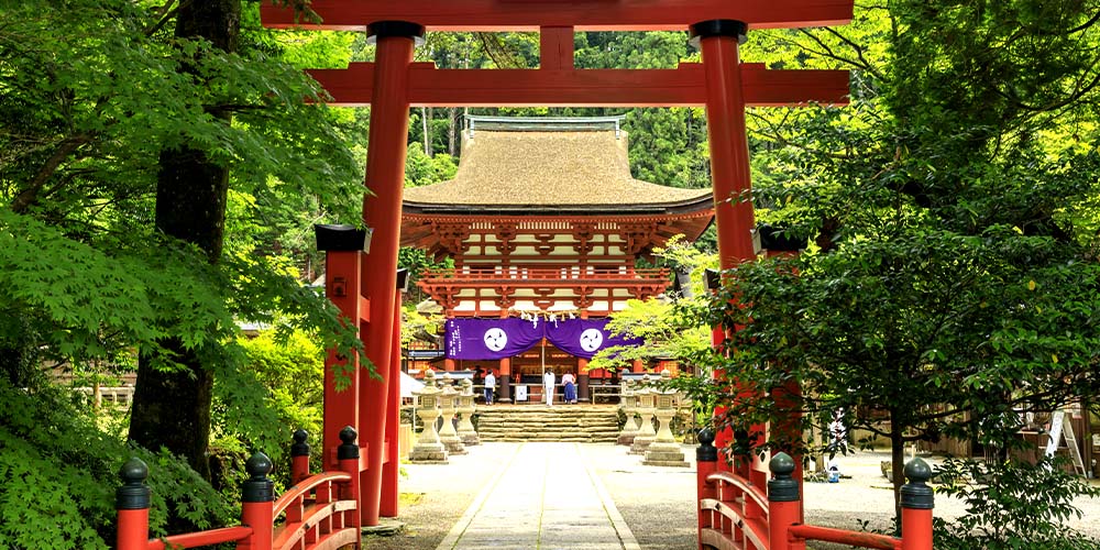 ゆの里ツアー ゆの里＆高野山へ行こう♪晩夏 神秘の水夢 月のしずく