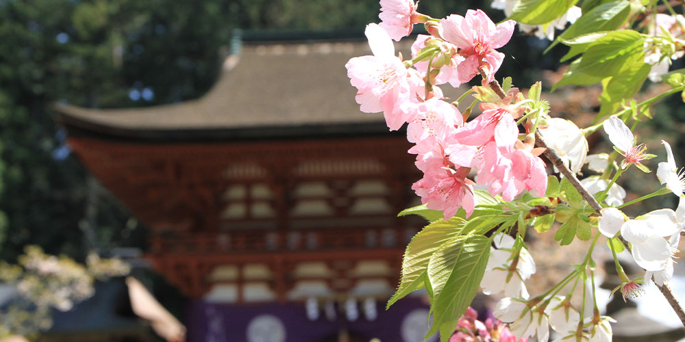 2025年 ゆの里＆4社参りへ行こう♪ 春 月のしずくの故郷 ゆの里へ 神野々麦酒醸造所 ゆの里ビール 生ビール