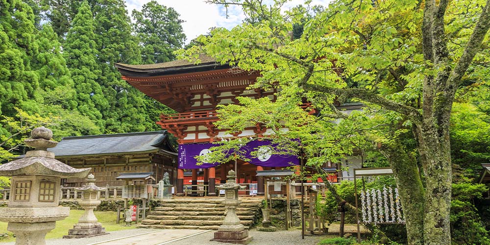 2025年 ゆの里＆4社参りへ行こう♪ 春 月のしずくの故郷 ゆの里へ 神野々麦酒醸造所 ゆの里ビール 生ビール