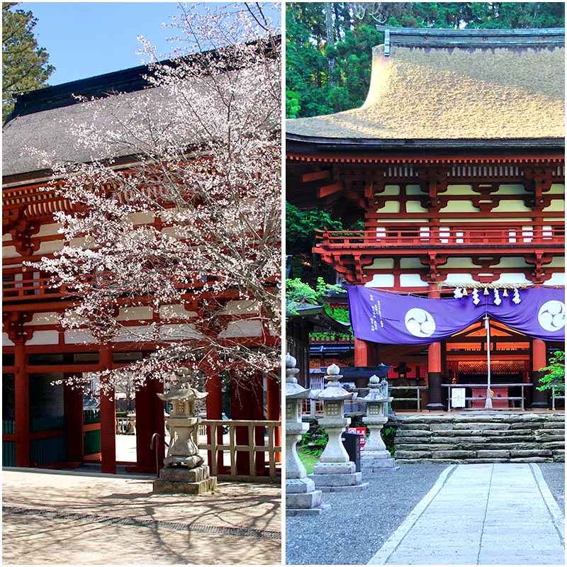 高野山＆丹生都比売神社